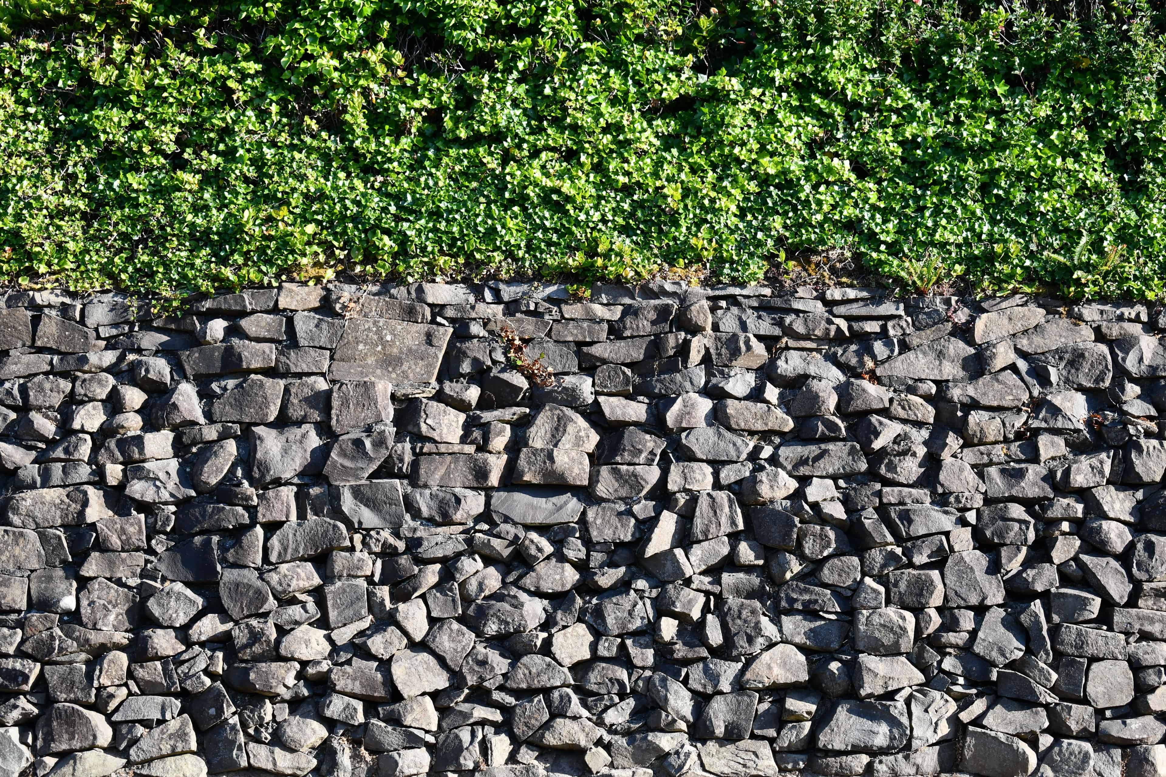 Hardscaping Services image