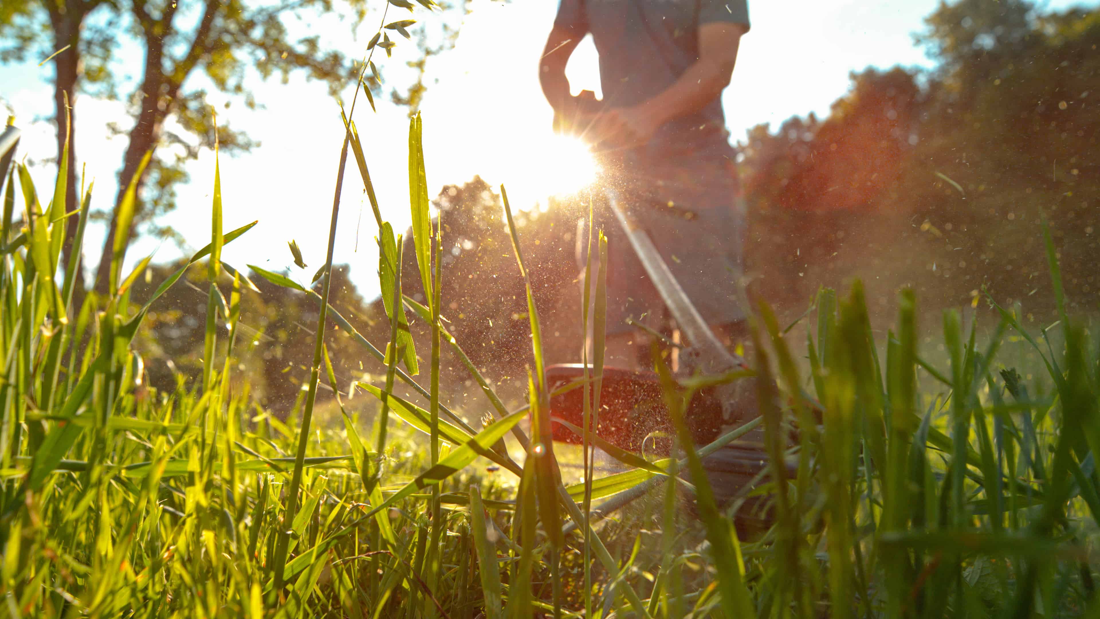 Landscaping Services image