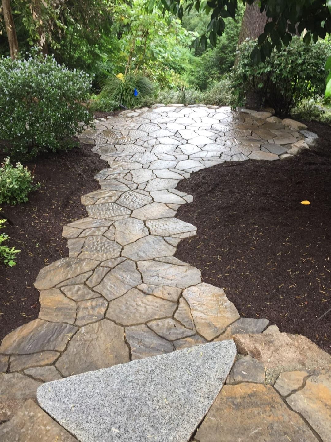 Curved stone pathway through a lush garden with green foliage and mulch.