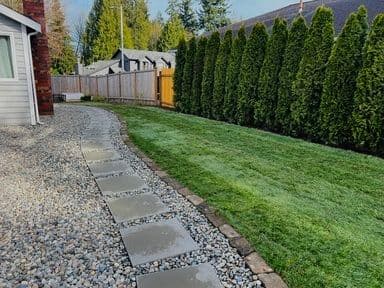 Curved stone pathway through a landscaped yard with green grass and tall hedges.
